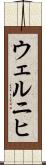 ウェルニヒ Scroll