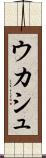 ウカシュ Scroll