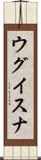 ウグイスナ Scroll