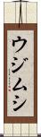 ウジムシ Scroll