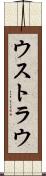 ウストラウ Scroll