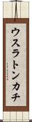 ウスラトンカチ Scroll