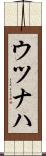 ウツナハ Scroll
