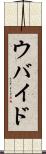 ウバイド Scroll