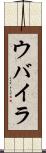 ウバイラ Scroll