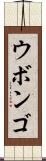 ウボンゴ Scroll