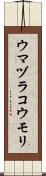 ウマヅラコウモリ Scroll
