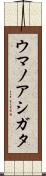 ウマノアシガタ Scroll