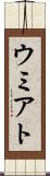 ウミアト Scroll