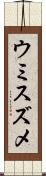 ウミスズメ Scroll