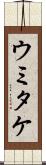 ウミタケ Scroll