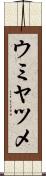 ウミヤツメ Scroll