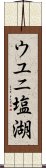 ウユニ塩湖 Scroll