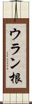 ウラン根 Scroll