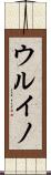 ウルイノ Scroll