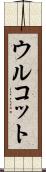 ウルコット Scroll
