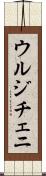 ウルジチェニ Scroll