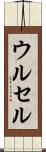 ウルセル Scroll