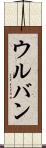 ウルバン Scroll