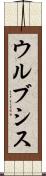 ウルブシス Scroll