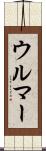 ウルマー Scroll