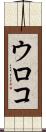 ウロコ Scroll