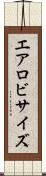 エアロビサイズ Scroll