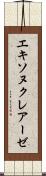 エキソヌクレアーゼ Scroll