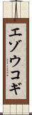 エゾウコギ Scroll