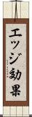 エッジ効果 Scroll