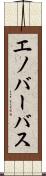 エノバーバス Scroll