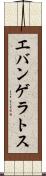 エバンゲラトス Scroll