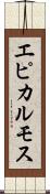 エピカルモス Scroll