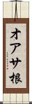 オアサ根 Scroll