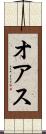 オアス Scroll