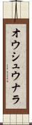 オウシュウナラ Scroll