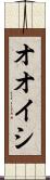オオイシ Scroll