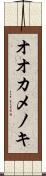 オオカメノキ Scroll