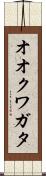オオクワガタ Scroll