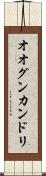 オオグンカンドリ Scroll