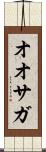 オオサガ Scroll