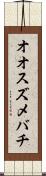オオスズメバチ Scroll