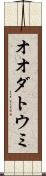 オオダトウミ Scroll