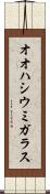 オオハシウミガラス Scroll