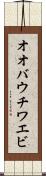 オオバウチワエビ Scroll
