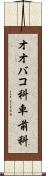 オオバコ科 Scroll