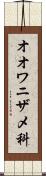 オオワニザメ科 Scroll