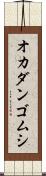 オカダンゴムシ Scroll
