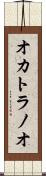 オカトラノオ Scroll