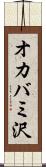 オカバミ沢 Scroll